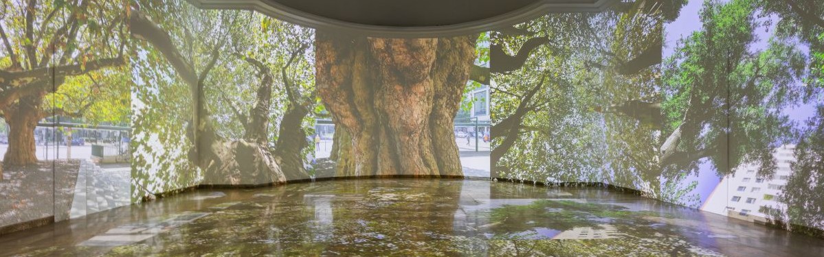 Architekturbiennale_2025_01