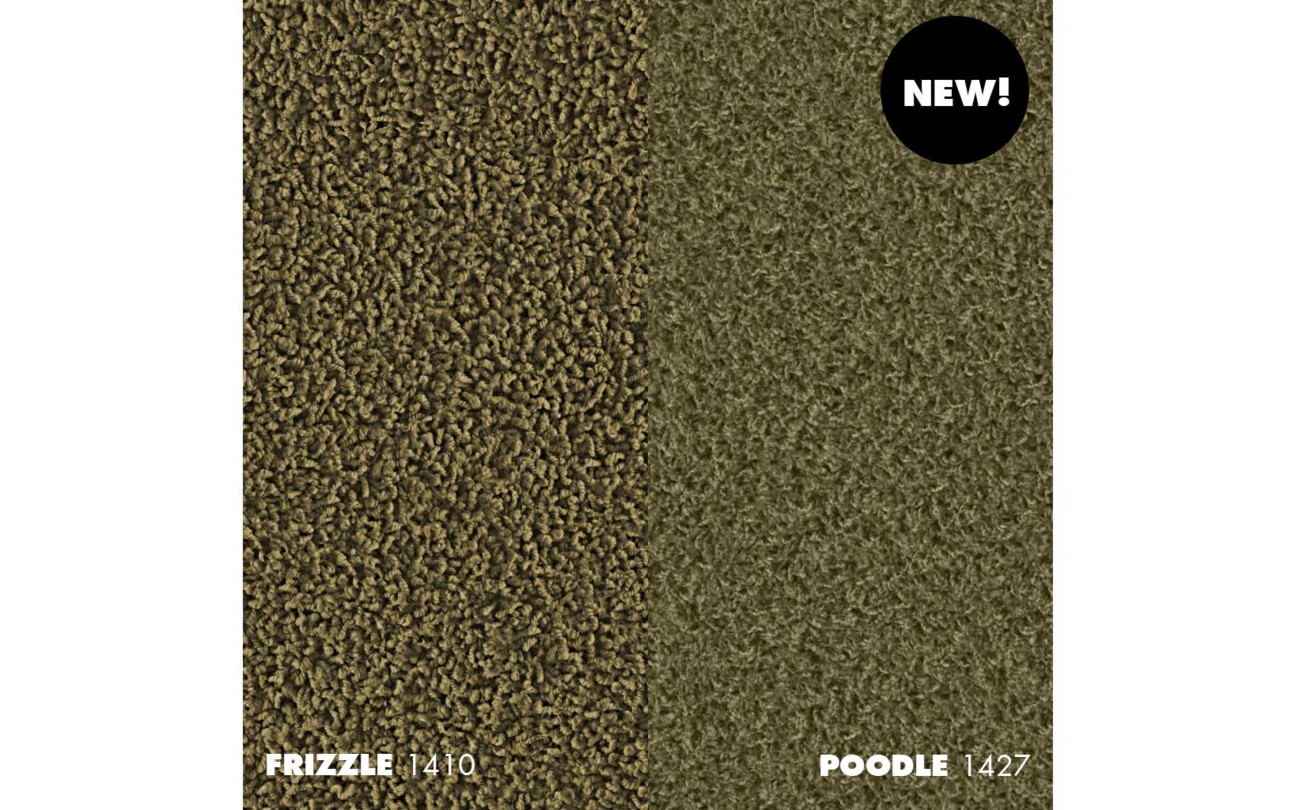 CO_IG_Frizzle_Poodle