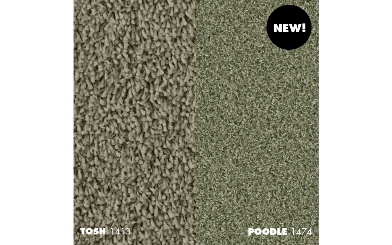 CO_NC_Tosh2_Poodle2