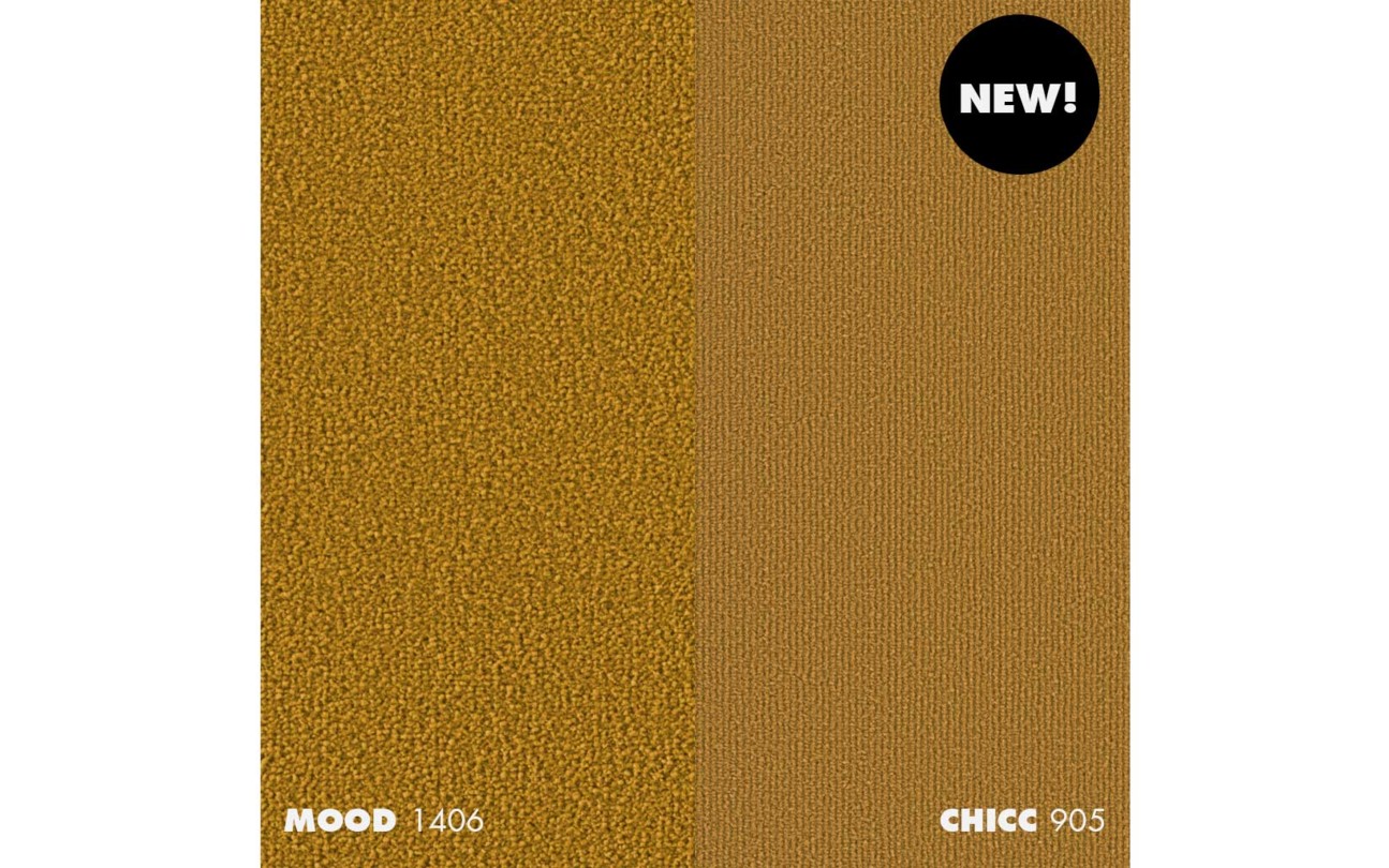 CO_NC_Mood_Chicc