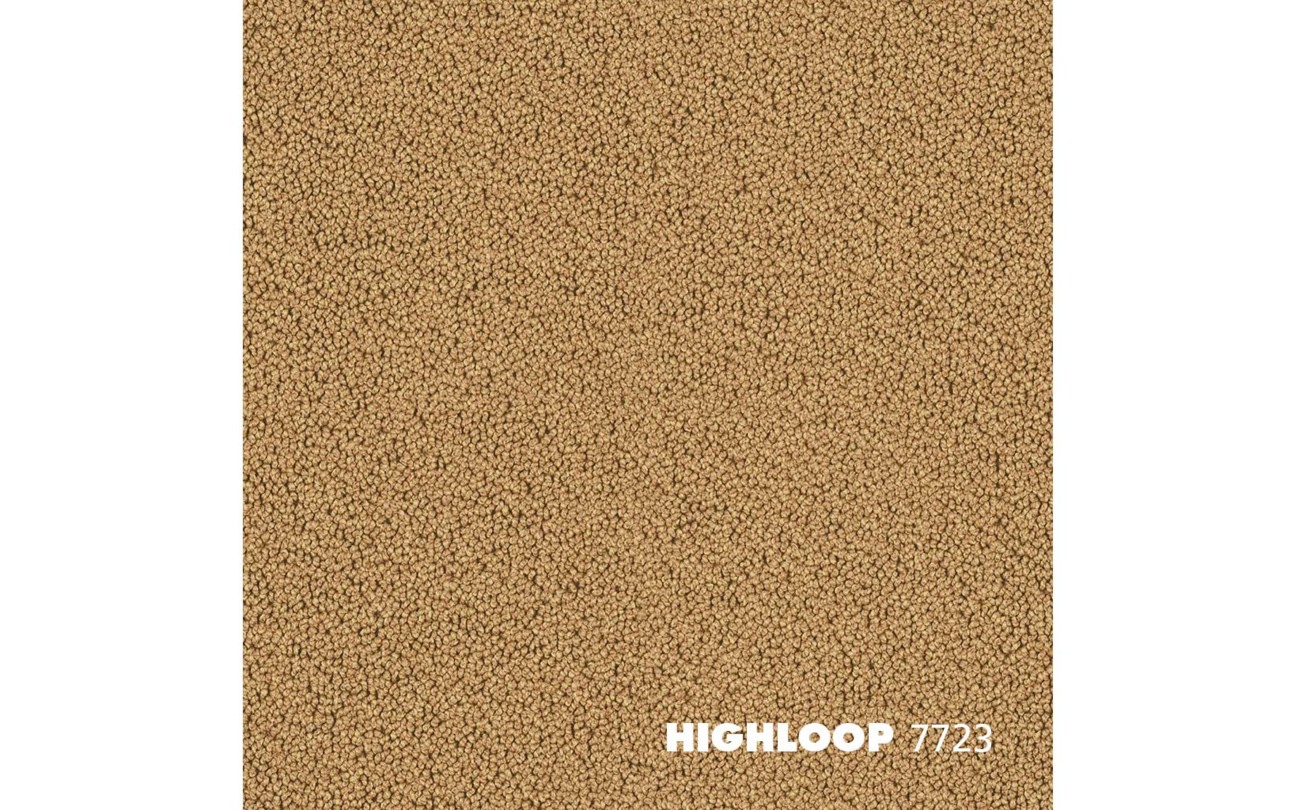 Highloop_7723