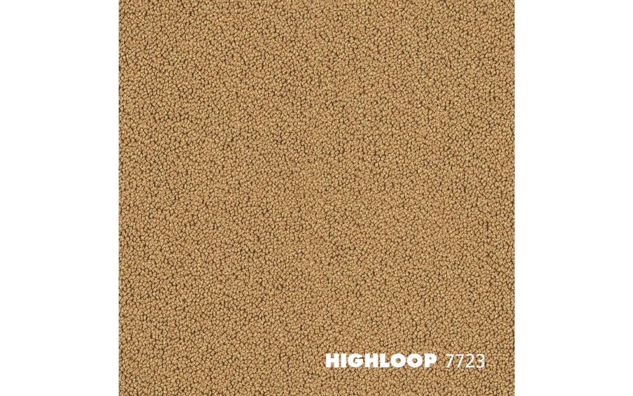 Highloop_7723