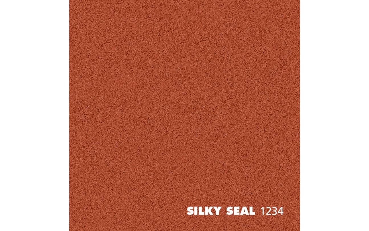 Silky_Seal_1234