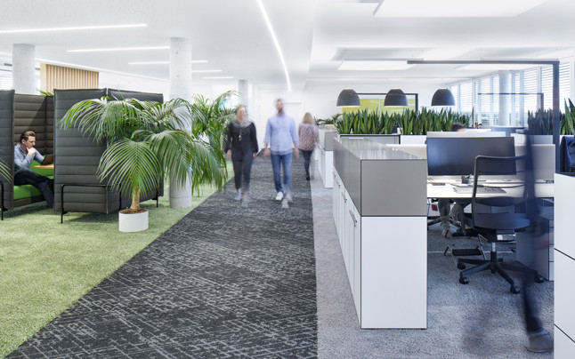 object_carpet_campus_01