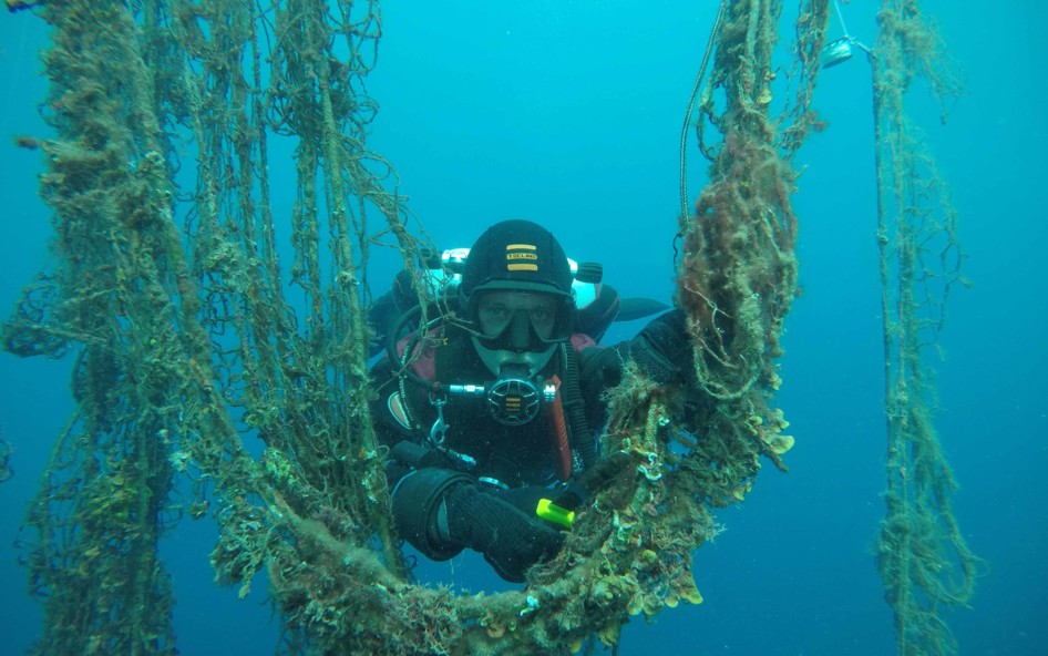 Taucher bergen alte Netze aus dem Meer