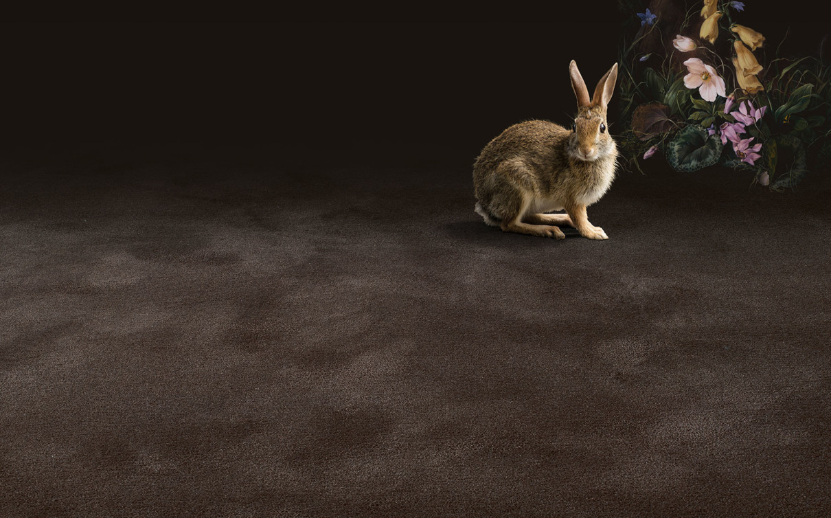 manufaktur_pure-wool_rabbit_brown_oc